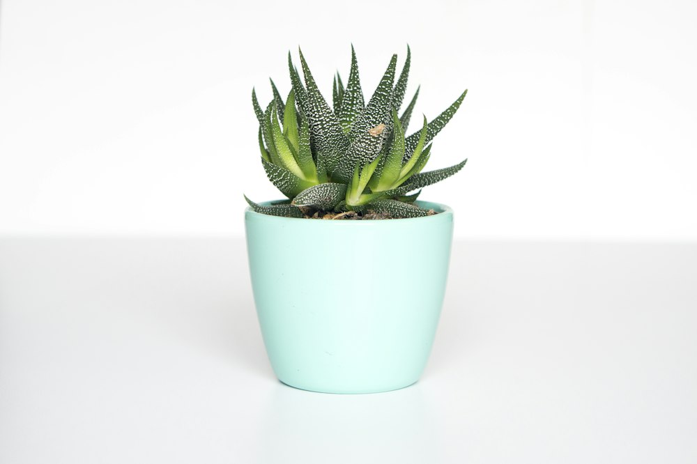 Geometric Ceramic Desk Planters
